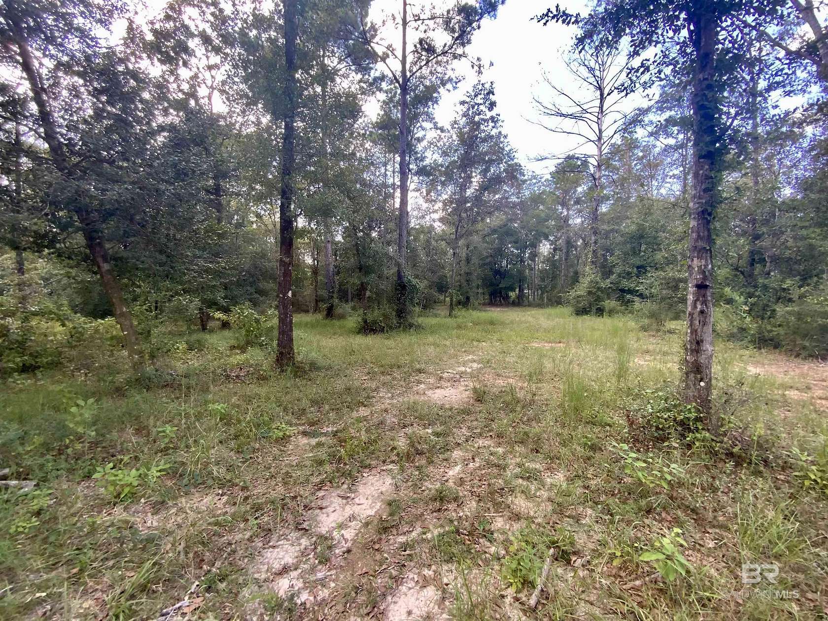 13 Acres of Land for Sale in Bay Minette, Alabama