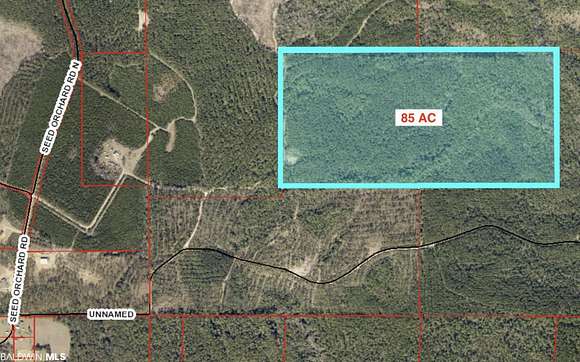 85 Acres of Recreational Land for Sale in Robertsdale, Alabama