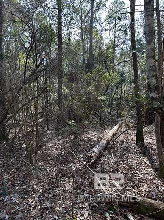 Land for Sale in Flomaton, Alabama