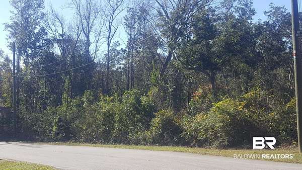 Residential Land for Sale in Lillian, Alabama