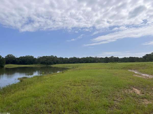 139 Acres of Land for Sale in Fairhope, Alabama