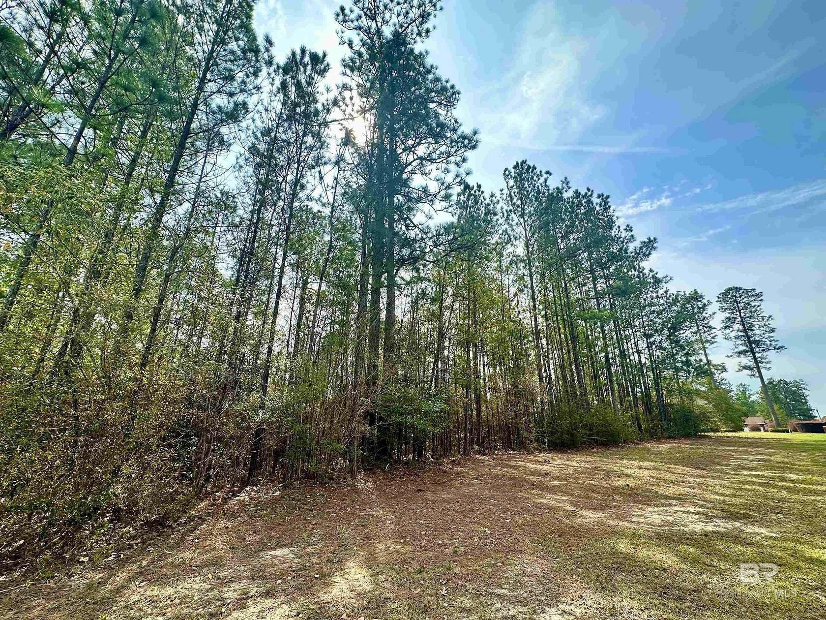 0.45 Acres of Residential Land for Sale in Brewton, Alabama