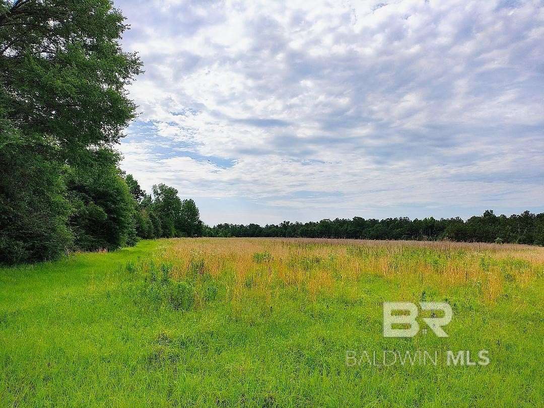 5.75 Acres of Land for Sale in Coffeeville, Alabama