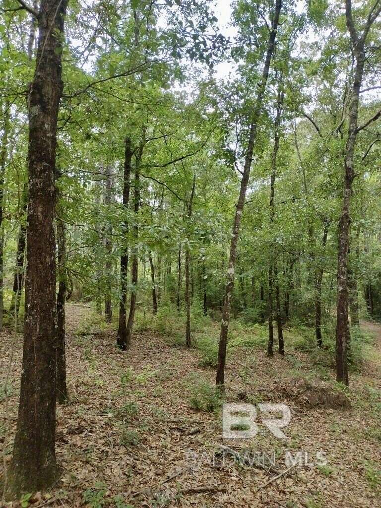 16.07 Acres of Land for Sale in Atmore, Alabama