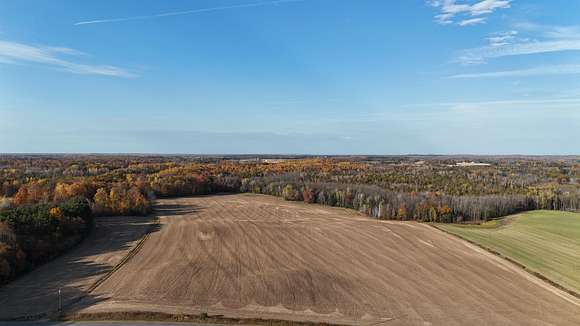 28.89 Acres of Land for Sale in Wittenberg, Wisconsin