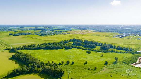 40.347 Acres of Agricultural Land for Sale in Foley, Alabama