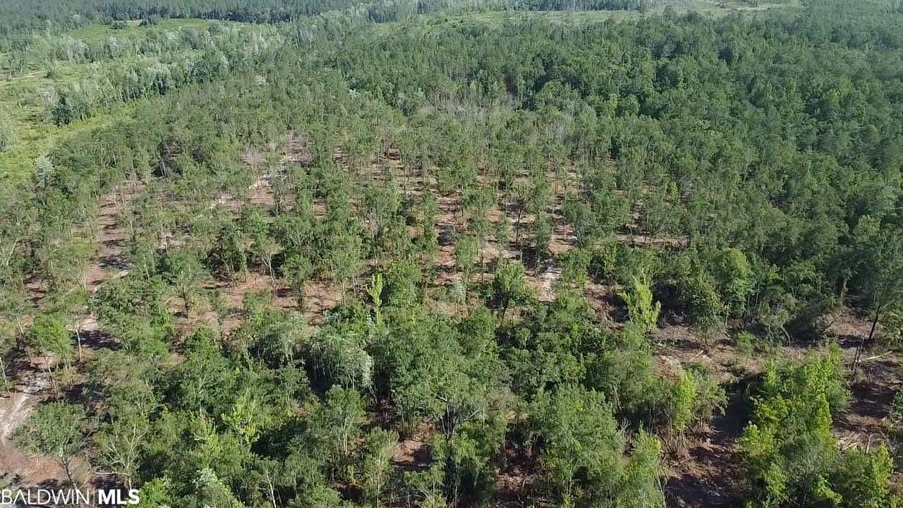 34 Acres of Land for Sale in Perdido, Alabama