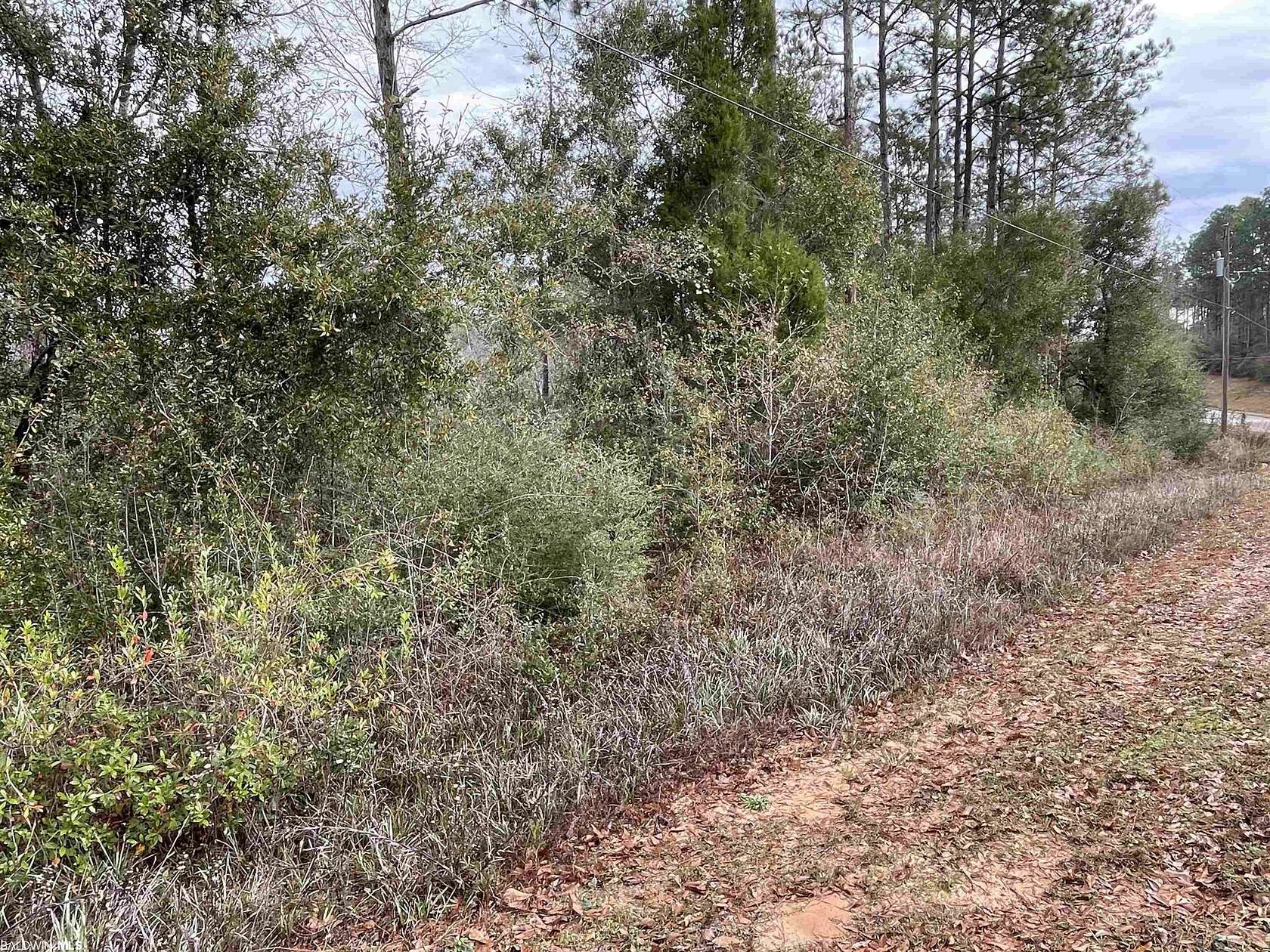 0.89 Acres of Residential Land for Sale in Seminole, Alabama