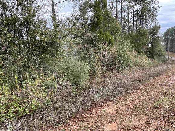 0.89 Acres of Residential Land for Sale in Seminole, Alabama