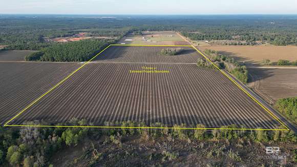 Land for Sale in Elberta, Alabama