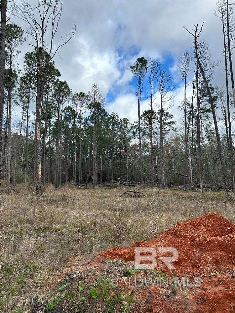 Land for Sale in Brewton, Alabama