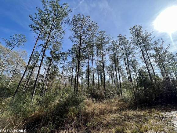 20 Acres of Agricultural Land for Sale in Bay Minette, Alabama