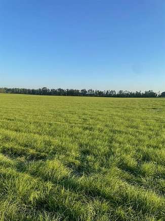 12.53 Acres of Land for Sale in Bell, Florida