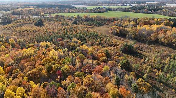 40.78 Acres of Recreational Land for Sale in Wittenberg, Wisconsin