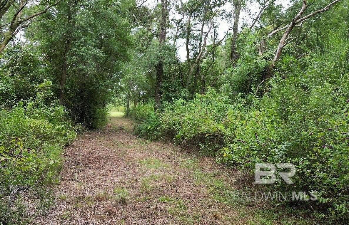 185 Acres of Recreational Land for Sale in Elberta, Alabama