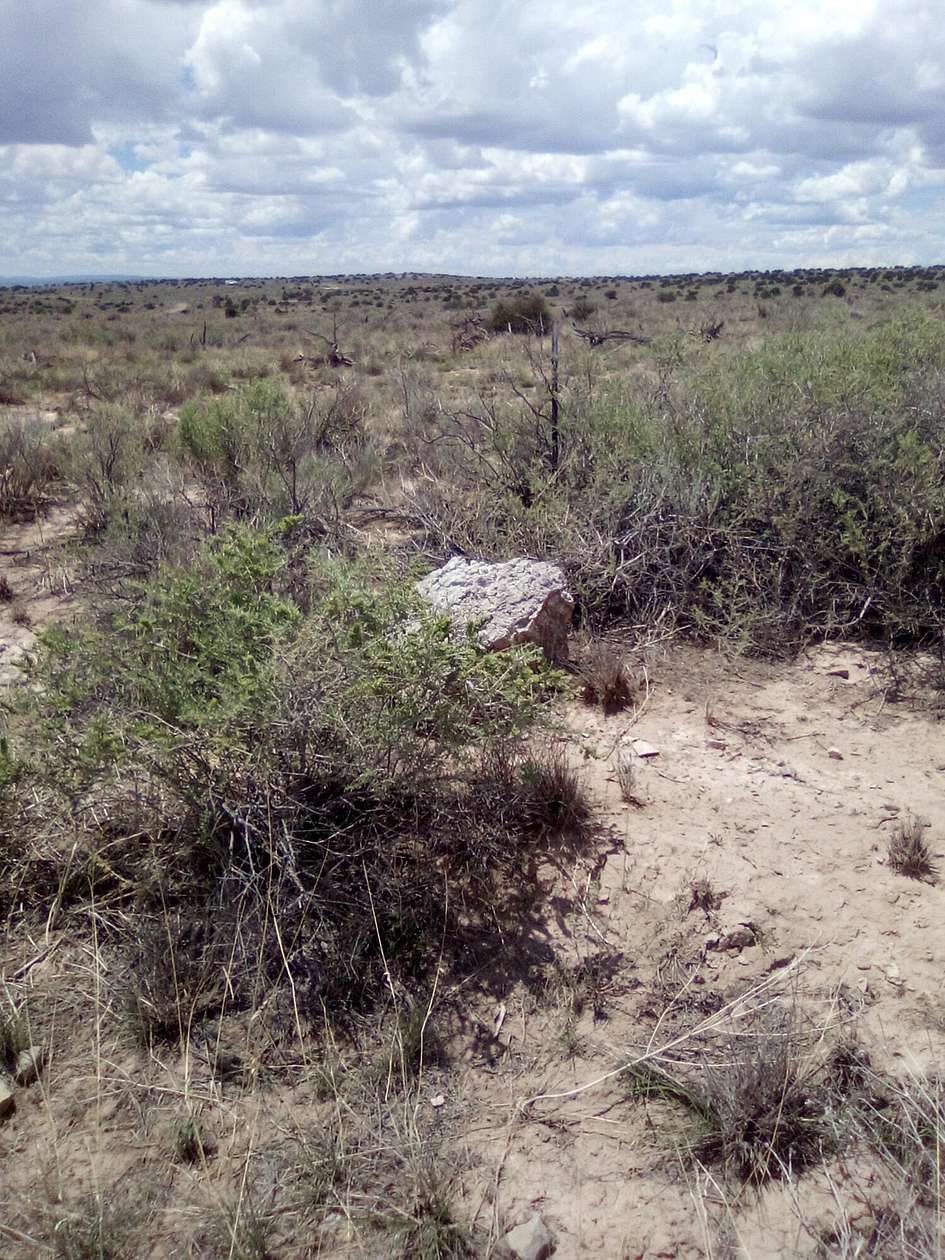 30 Acres of Land for Sale in Carrizozo, New Mexico