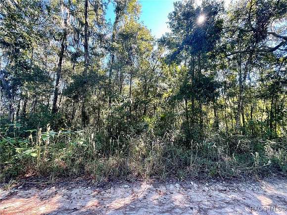 0.23 Acres of Residential Land for Sale in Ocala, Florida