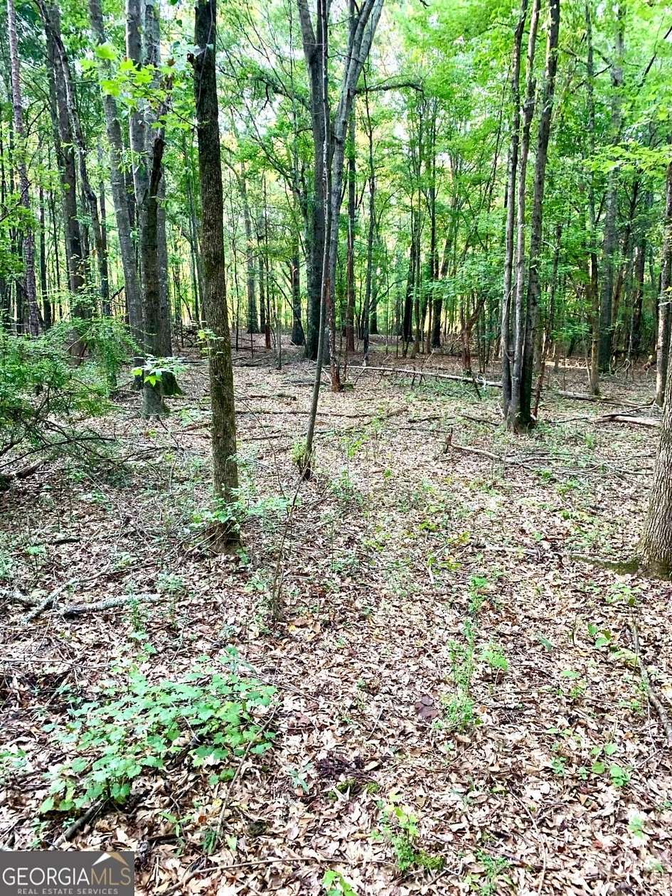 8 Acres of Residential Land for Sale in Ila, Georgia