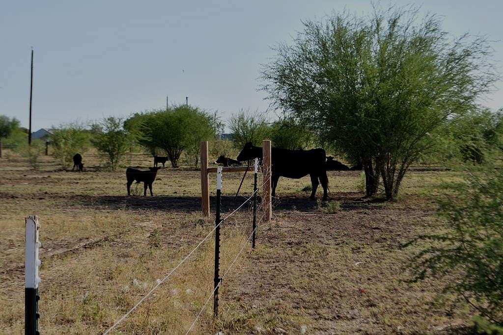 32.67 Acres of Agricultural Land for Sale in Knippa, Texas