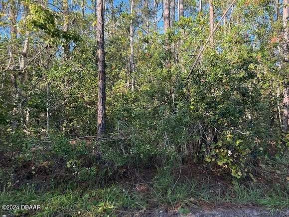 1.25 Acres of Land for Sale in New Smyrna Beach, Florida