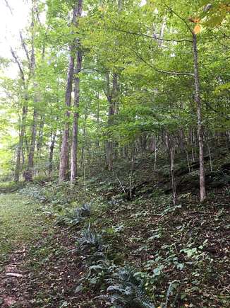 3.7 Acres of Land for Sale in Hillsboro, West Virginia