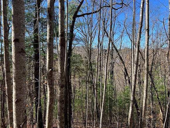 1.086 Acres of Residential Land for Sale in Hiawassee, Georgia