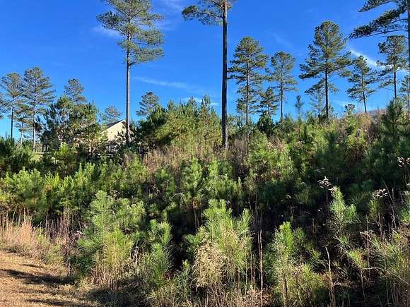 1.15 Acres of Land for Sale in Blairsville, Georgia