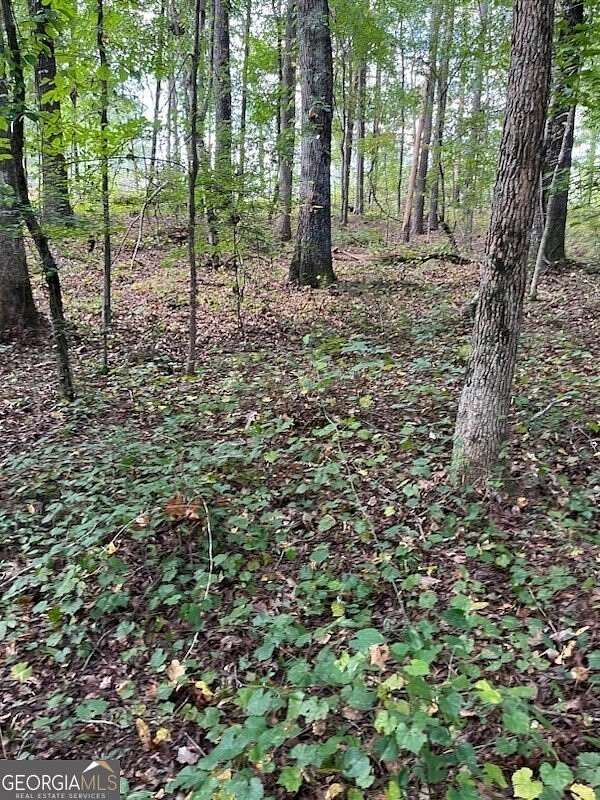 1.4 Acres of Residential Land for Sale in Rome, Georgia