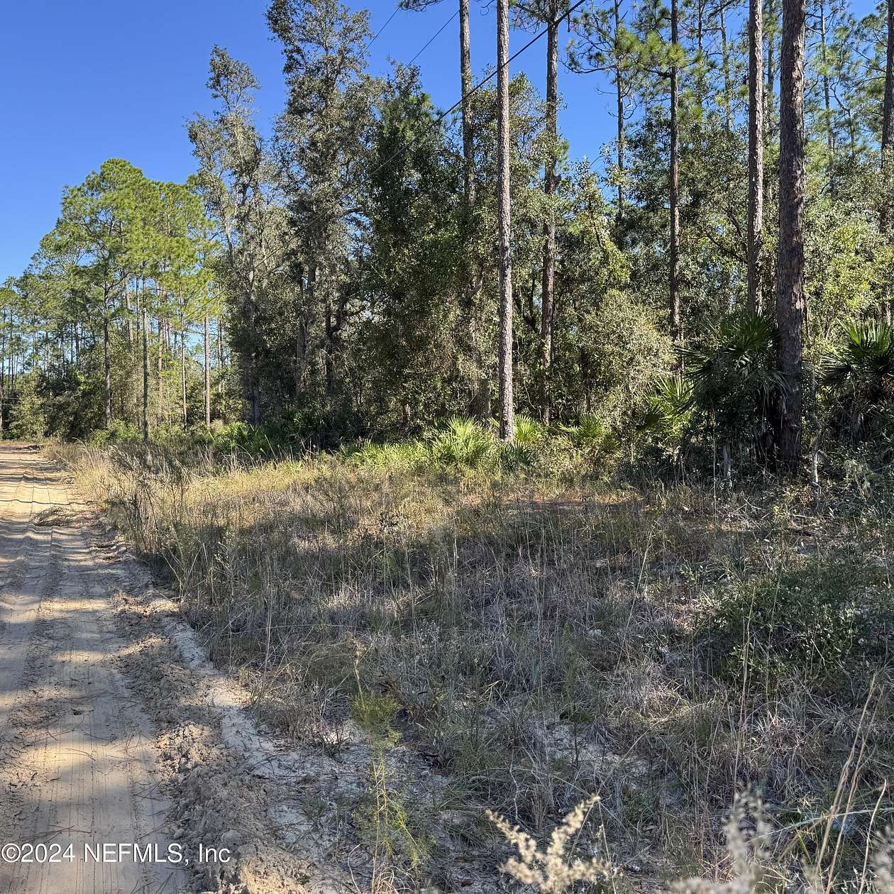 0.3 Acres of Land for Sale in Interlachen, Florida