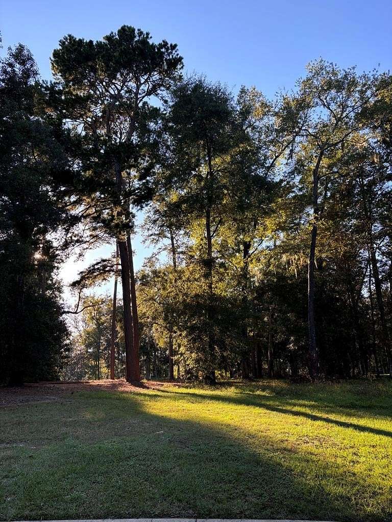 0.31 Acres of Residential Land for Sale in Thomasville, Georgia