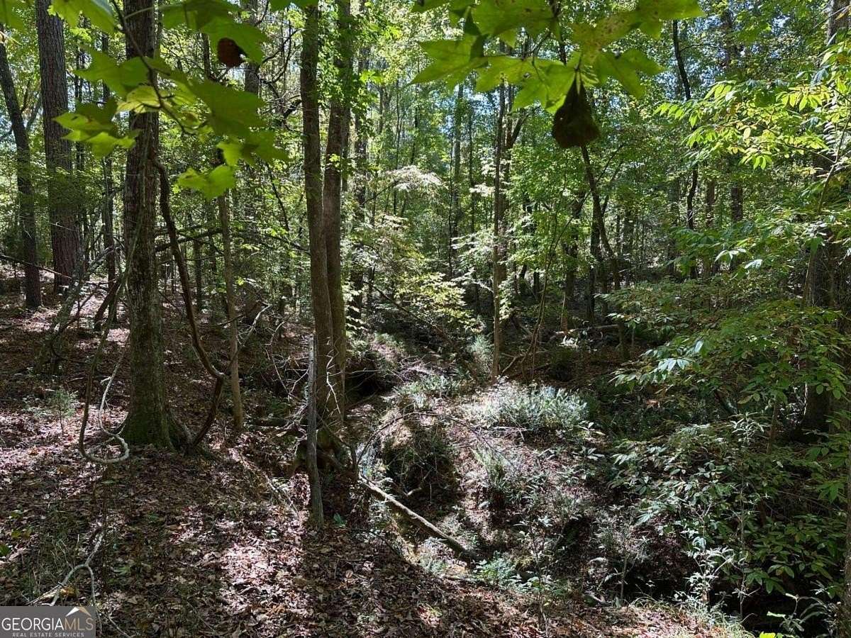 35.5 Acres of Recreational Land for Sale in Luthersville, Georgia