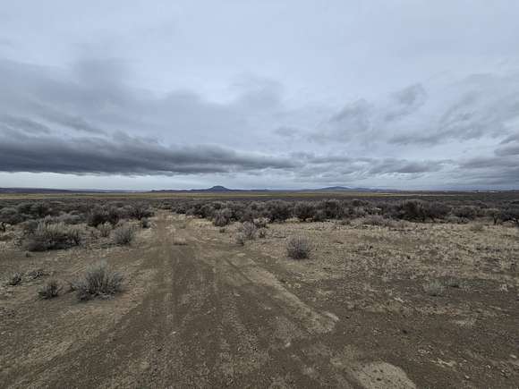 20 Acres of Agricultural Land for Sale in Christmas Valley, Oregon