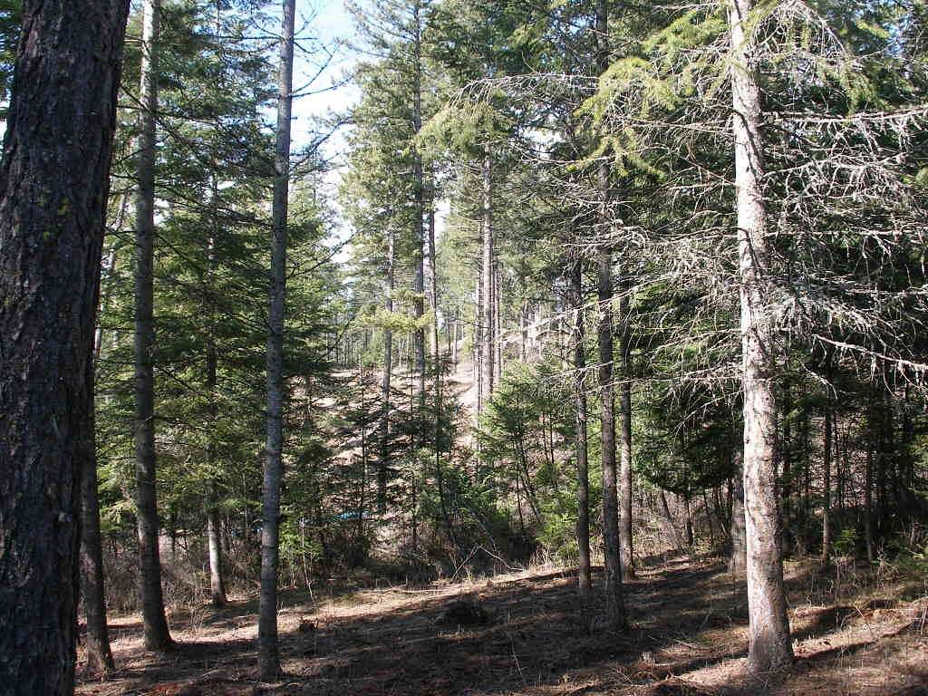 0.73 Acres of Residential Land for Sale in Harrison, Idaho