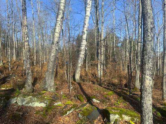 27.3 Acres of Land for Sale in Calais Town, Vermont