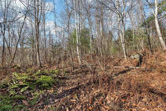 2.5 Acres of Residential Land for Sale in Moultonborough, New Hampshire