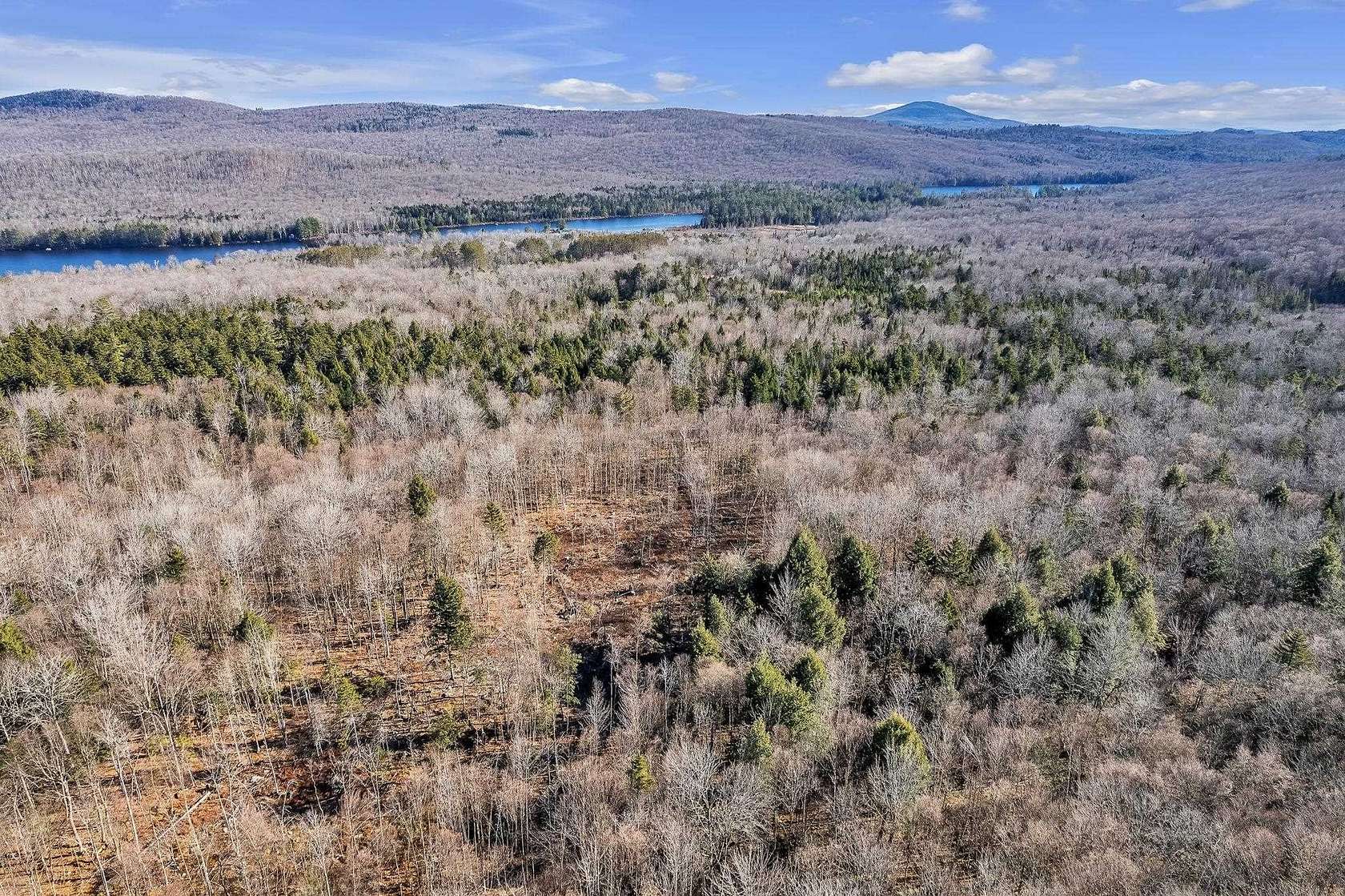 11.1 Acres of Recreational Land for Sale in Groton, Vermont