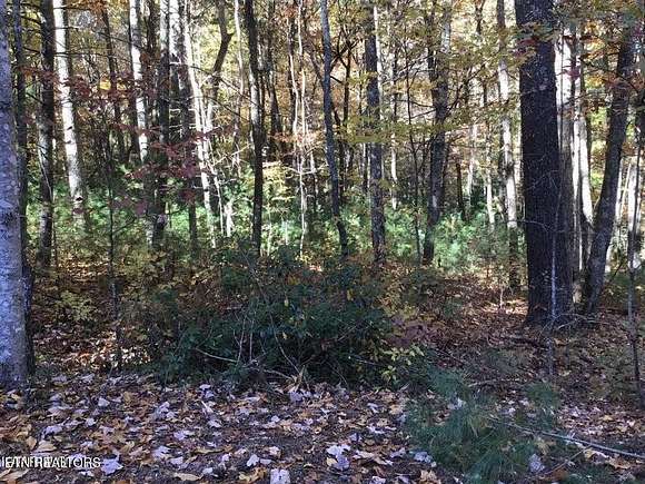 0.3 Acres of Residential Land for Sale in Fairfield Glade, Tennessee