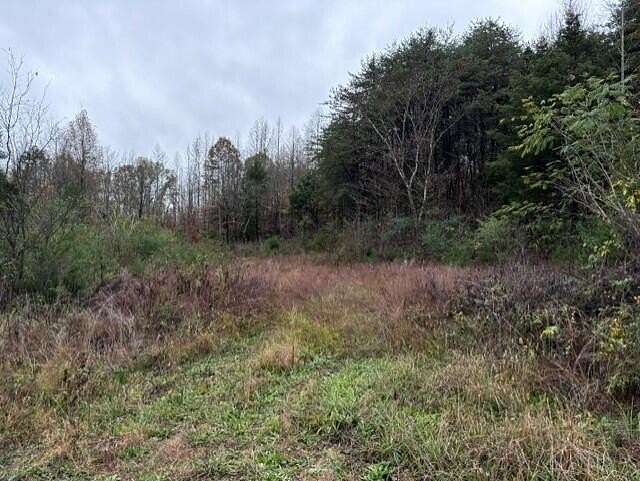 25.24 Acres of Land for Sale in Niota, Tennessee