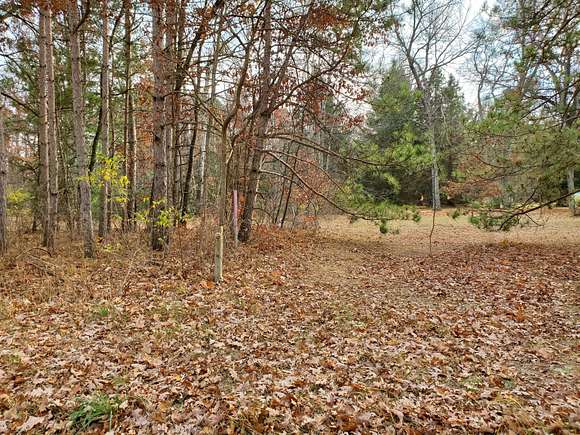 5.06 Acres of Land for Sale in White Cloud, Michigan