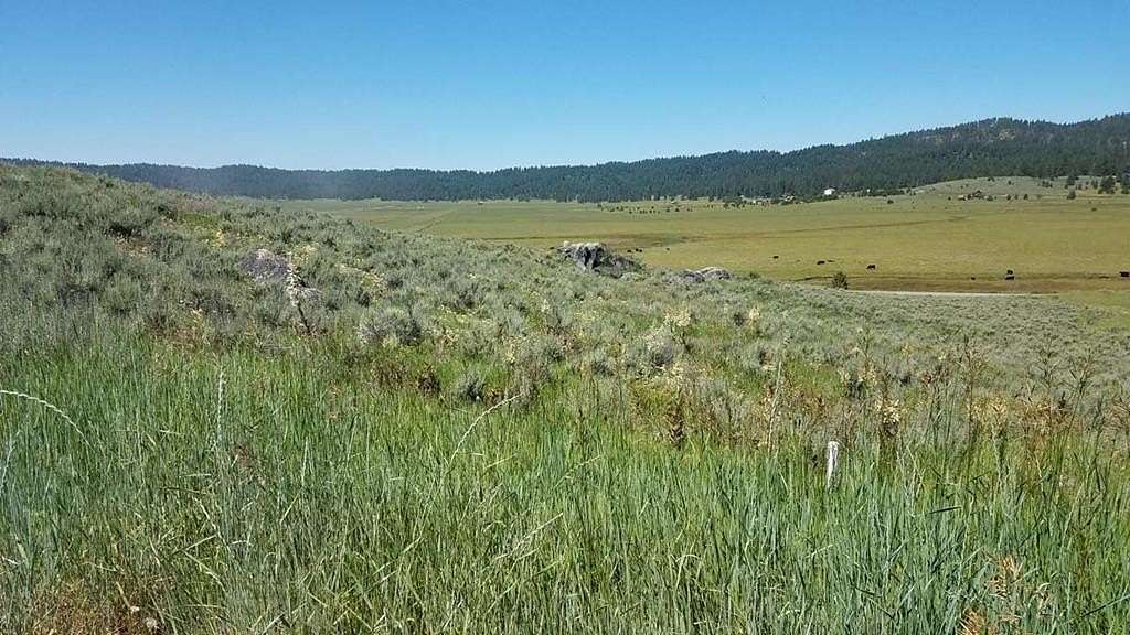 4.35 Acres of Residential Land for Sale in Cascade, Idaho