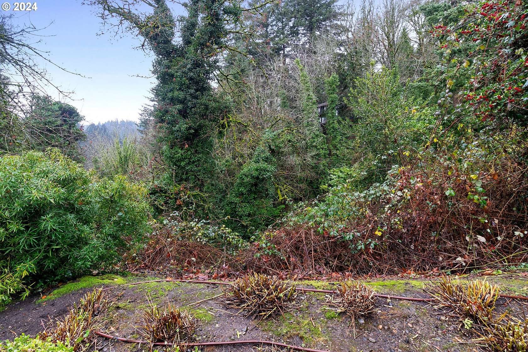 0.46 Acres of Residential Land for Sale in Portland, Oregon