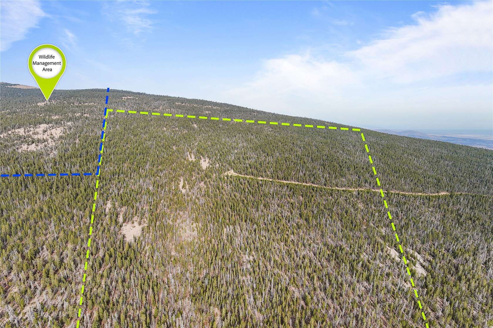 81.236 Acres of Recreational Land for Sale in Anaconda, Montana