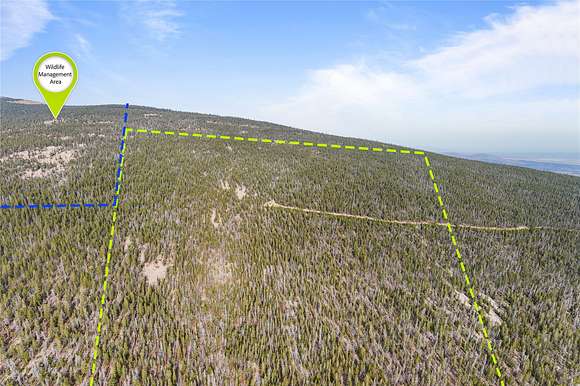 81.236 Acres of Recreational Land for Sale in Anaconda, Montana