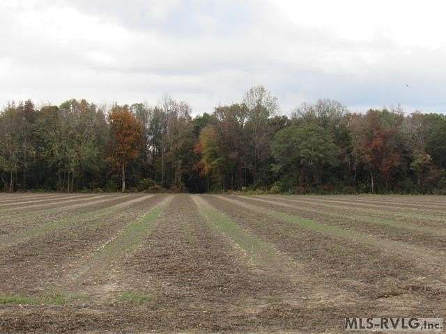 51.1 Acres of Recreational Land & Farm for Sale in Murfreesboro, North Carolina