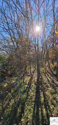 3.56 Acres of Land for Sale in Otterville, Missouri