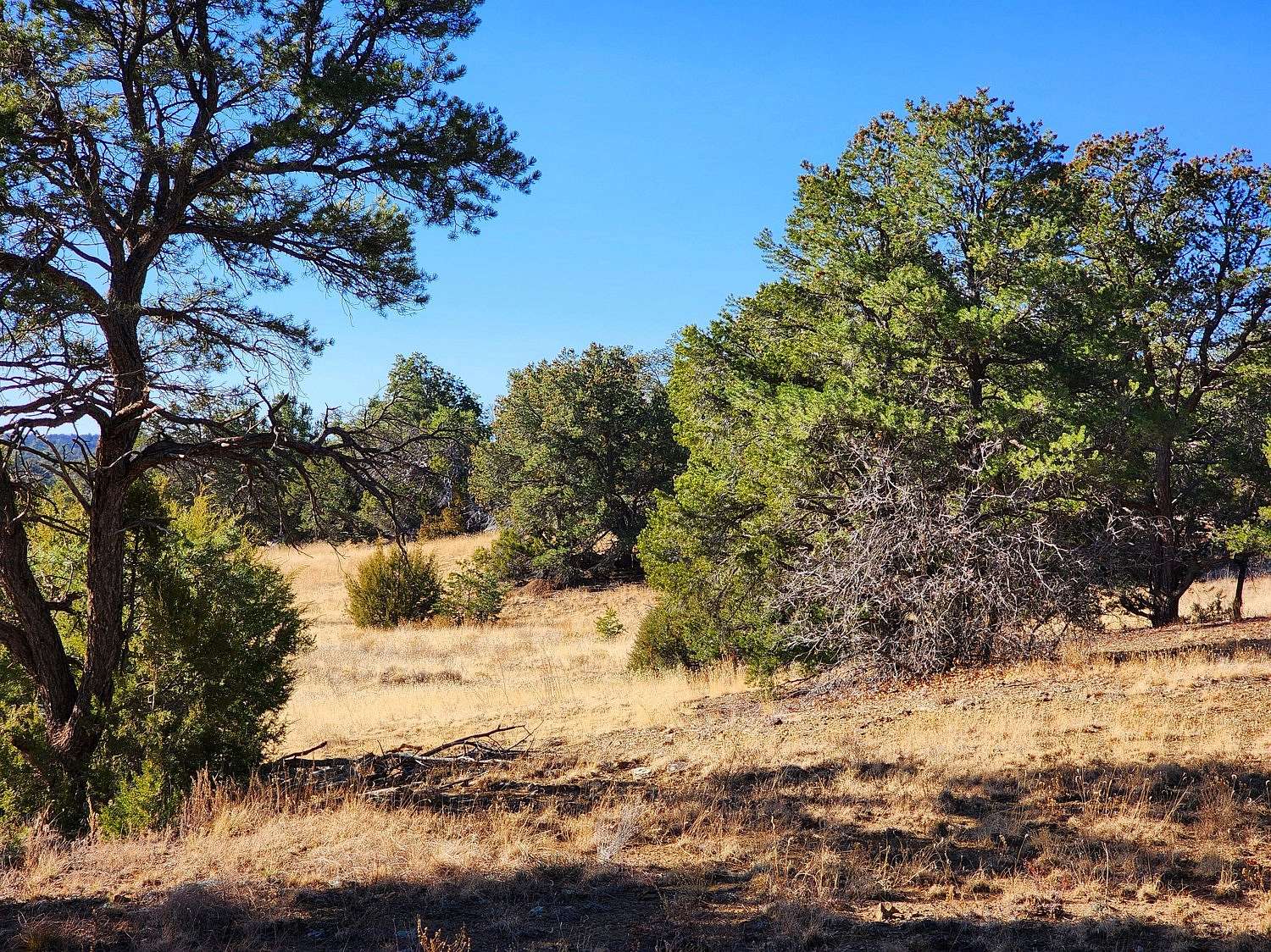 11 Acres of Recreational Land for Sale in Ramah, New Mexico