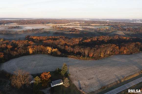 37 Acres of Land for Sale in Taylor Ridge, Illinois