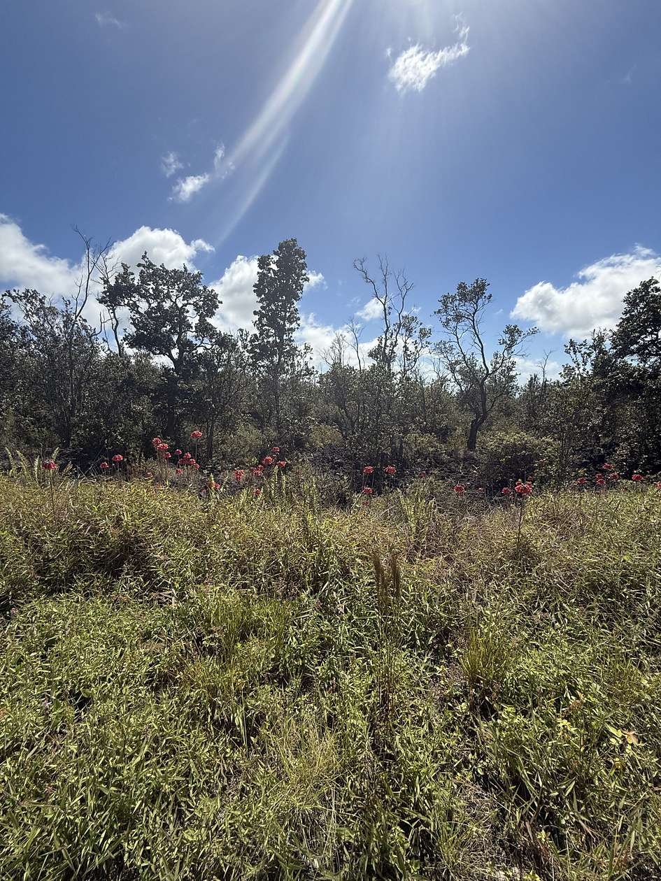 1.001 Acres of Land for Sale in Hawaiian Ocean View, Hawaii