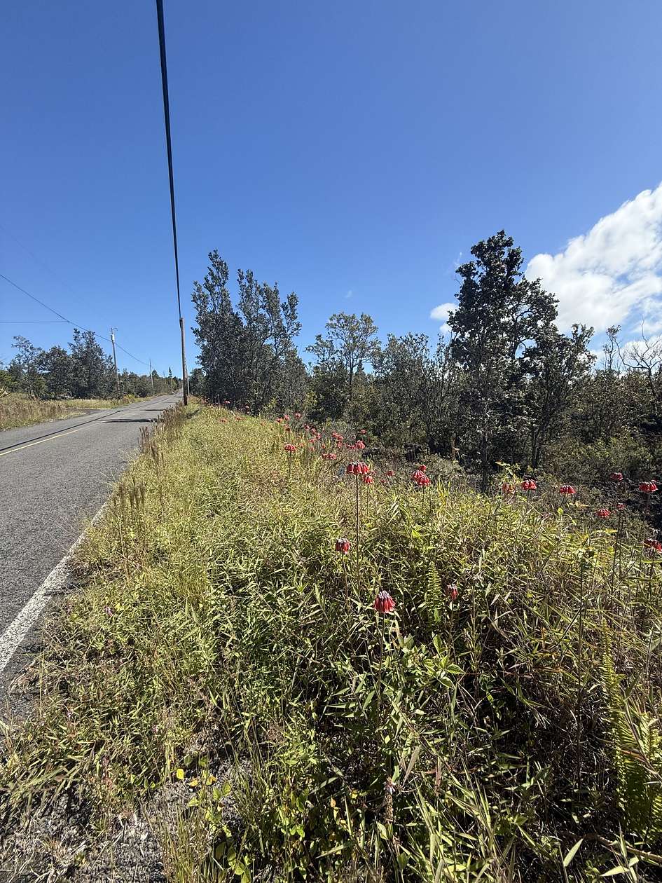 1.001 Acres of Land for Sale in Hawaiian Ocean View, Hawaii