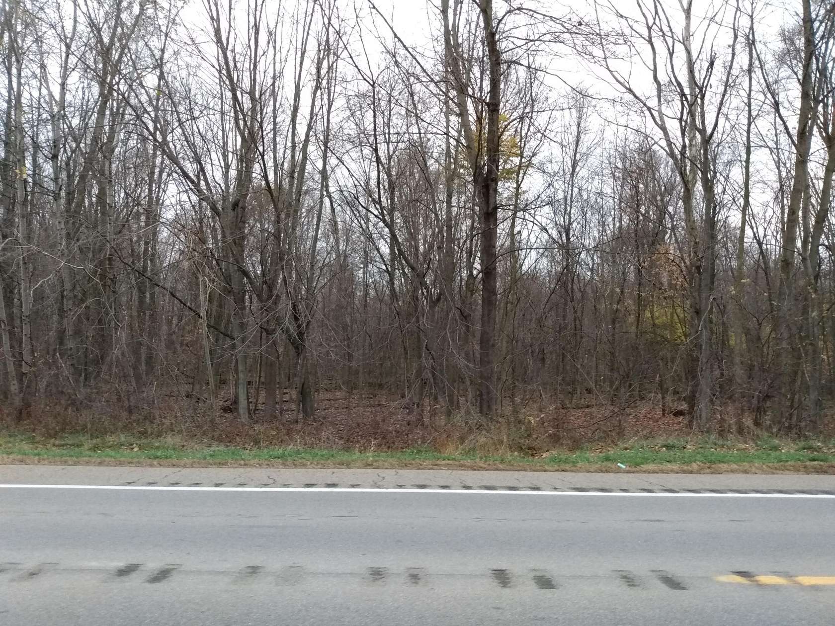 14.95 Acres of Recreational Land for Sale in Tekonsha, Michigan